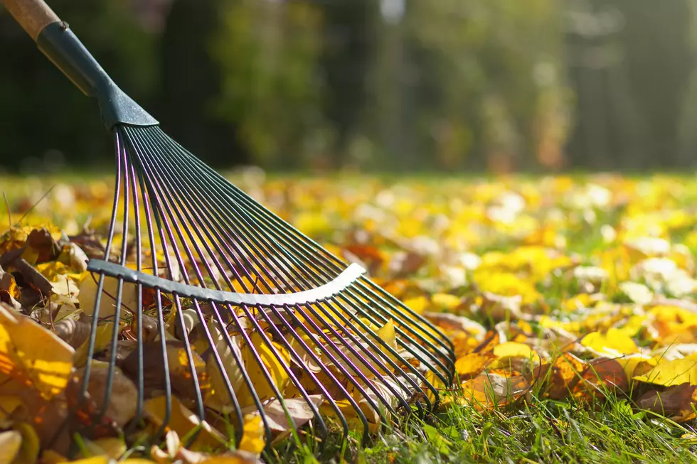 Is It Illegal In Michigan To Dispose Of Leaves In Garbage Cans?