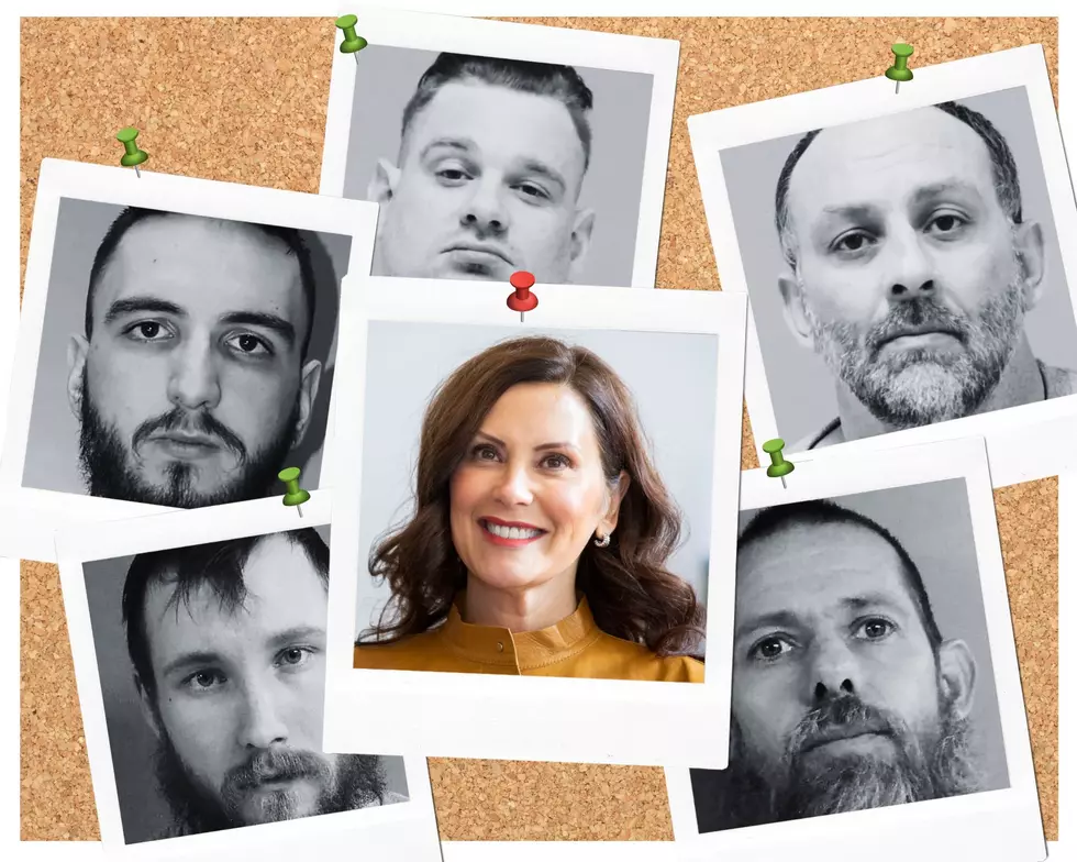 True Crime Podcast and TV Show Coming About Whitmer Kidnapping Plot