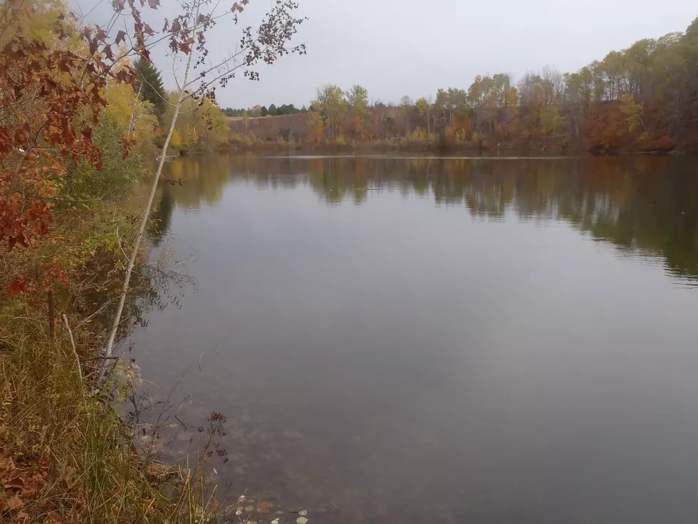 Deadline to Bid in Michigan DNR Surplus Land Auction is January 9