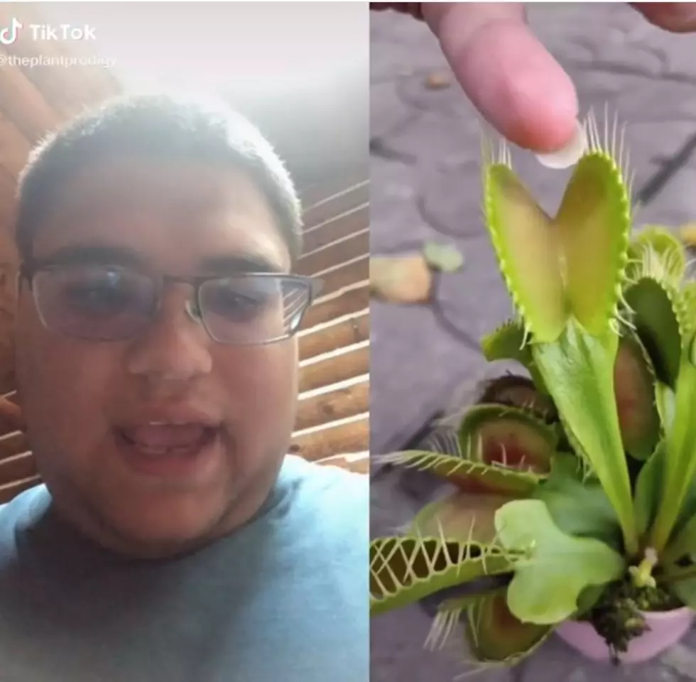 Kalamazoo Autistic Plant Prodigy Blows Up on TikTok