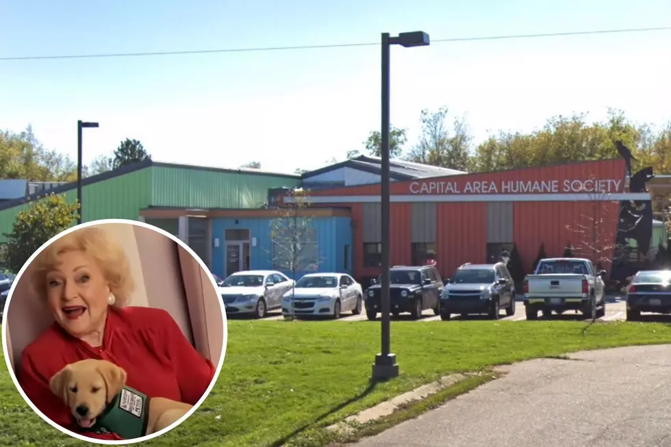 Betty White Challenge Brings in Over $30K for Lansing, Michigan’s Capital Area Humane Society