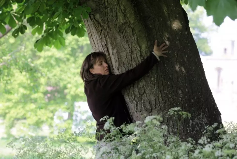 Craziest Video You’ll See Today? Gotta Be The “Tree-Car” From Suburban Chicago