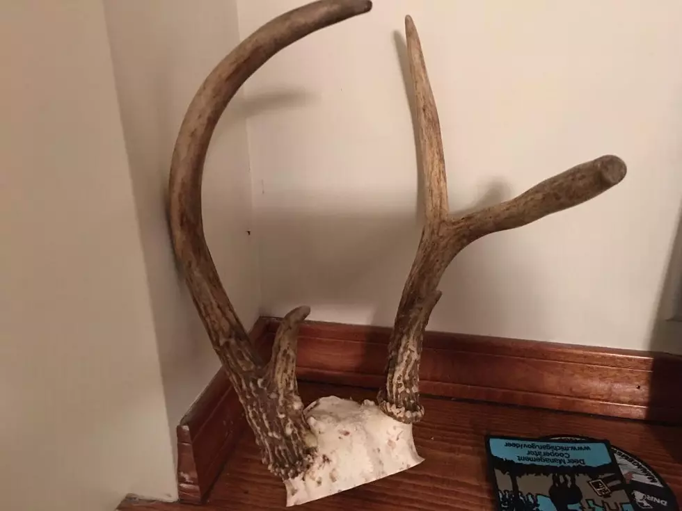 Forget the Turdy-Point Buck – This Buck Has About a Hundred