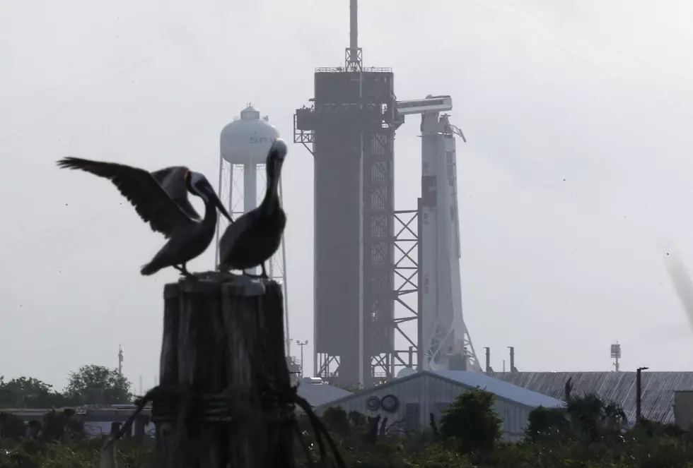 Grab a Book and Some Michigan Blueberries And Build Your Rocket