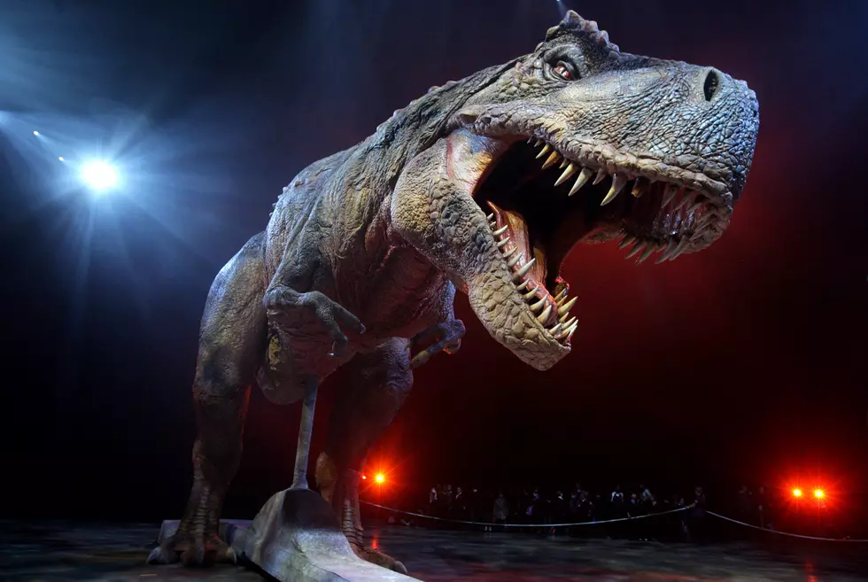 Look Out For Dinosaurs Tonight At Jackson Field
