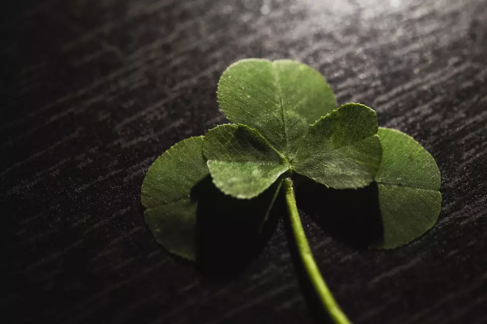 Detroit Business Owner Wins ‘Lucky for Life’