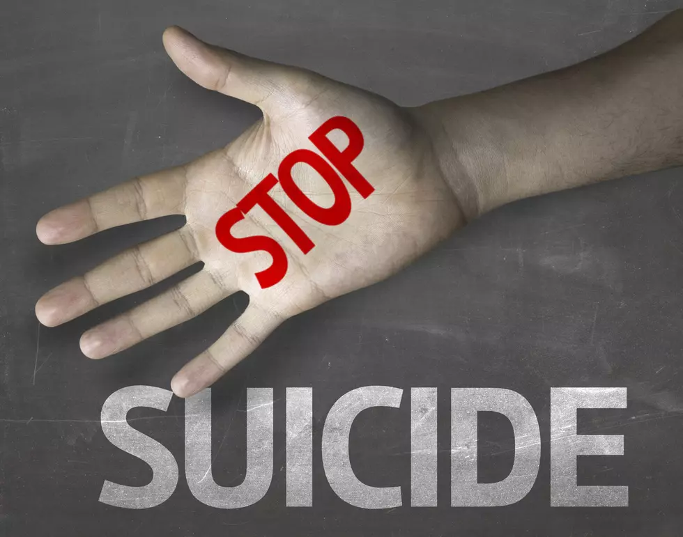 Information About Suicide Prevention, Plus A Great Event In Lansing Raising Awareness