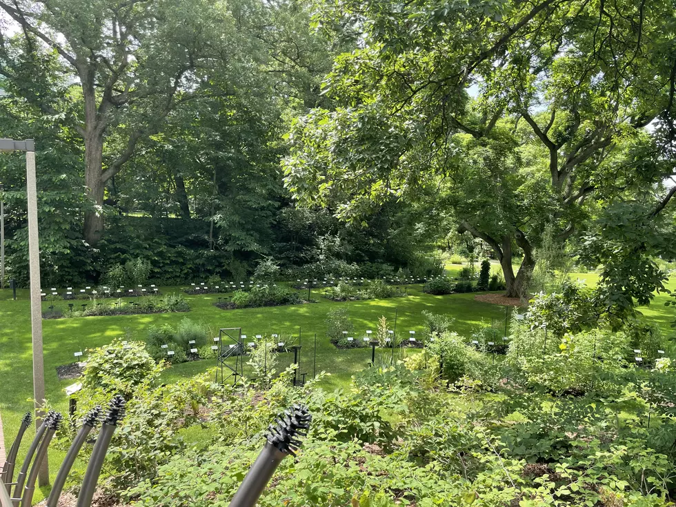MSU’s Beal Botanical Garden Earns Rare Global Accreditation