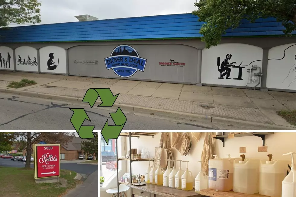 Killer Lansing Eco-friendly Options To Live A Greener Lifestyle