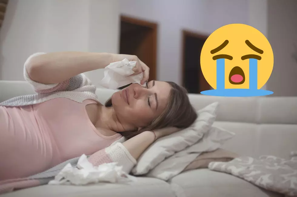 An Open Letter to All Those Who Are or Have Been Pregnant