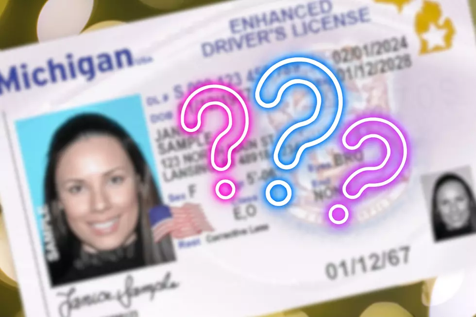 What’s the Difference Between Real ID & Enhanced ID in Michigan?
