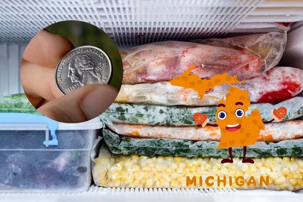 Why Michiganders Should Be Keeping a Quarter in Their Freezer