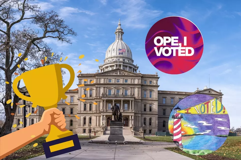 The Results are In—These are Michigan’s Next “I Voted” Stickers