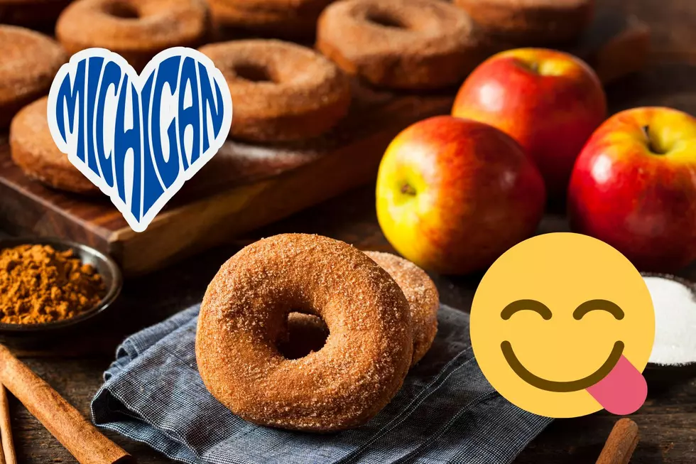 3 Superior Spots to Get Apple Cider Donuts in Michigan This Fall