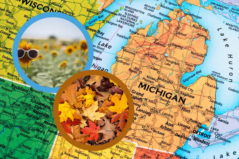 Prepare for the Rollercoaster That is Michigan Weather the Next Week