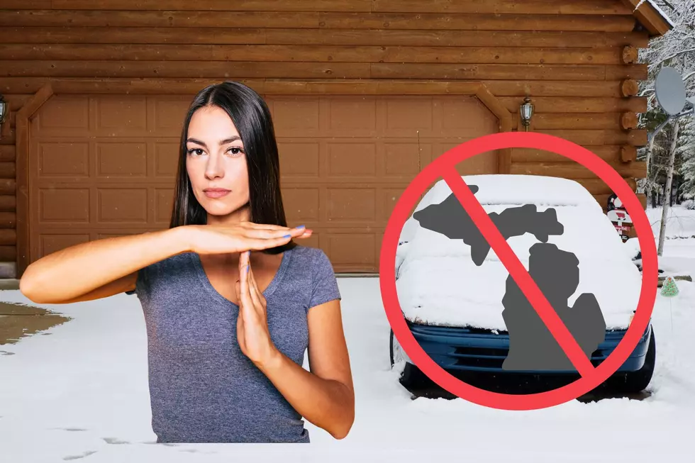 10 Items Not to Leave in Your Car When it’s Freezing in Michigan