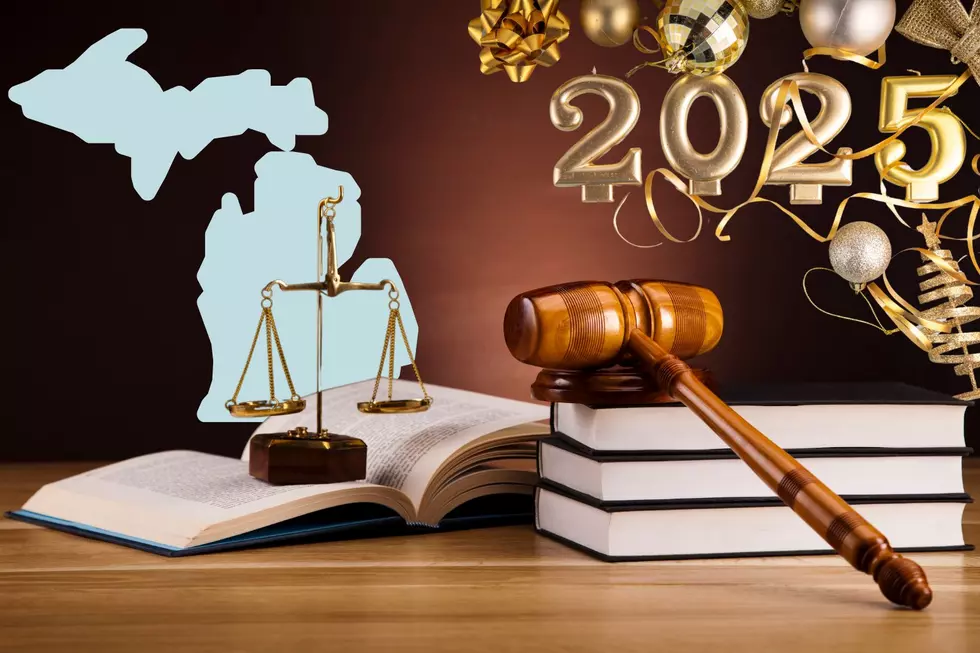 These New Laws Go Into Effect in Michigan in 2025