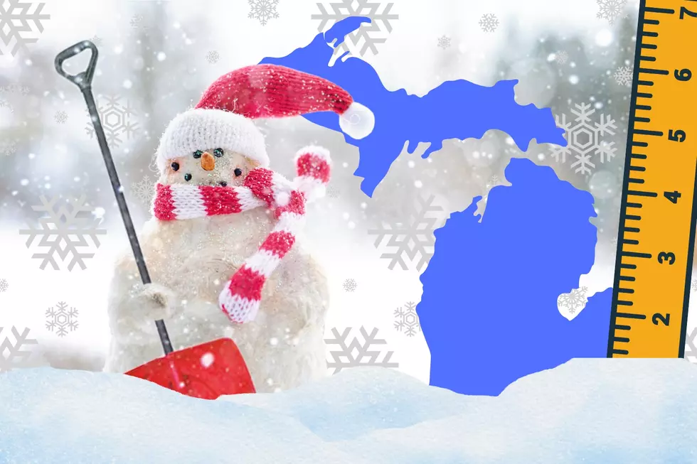 How Much Snow Is Mid-Michigan Going to Get?
