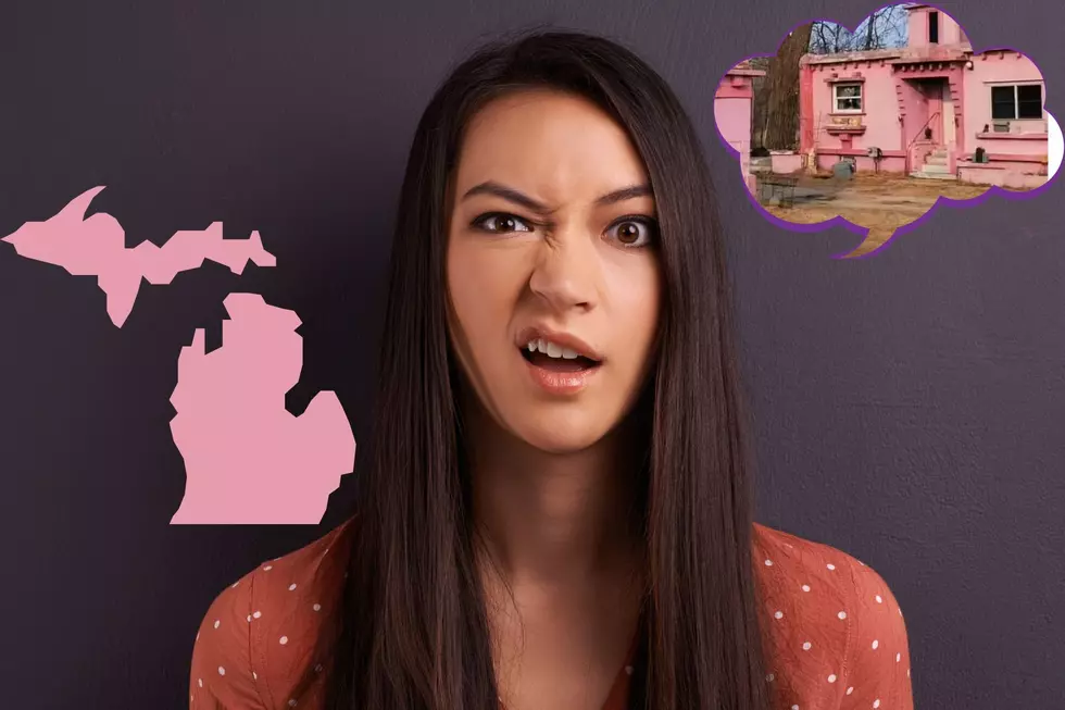 The Castle That Ray Built—The Story Behind Michigan’s Infamous Pink House