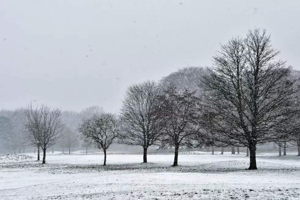 Welcome to Michigan: Here’s How to Survive Your First Brutal Winter