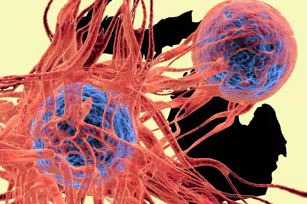 Michigan’s Cancer Capitals: 16 Counties That Lead the State