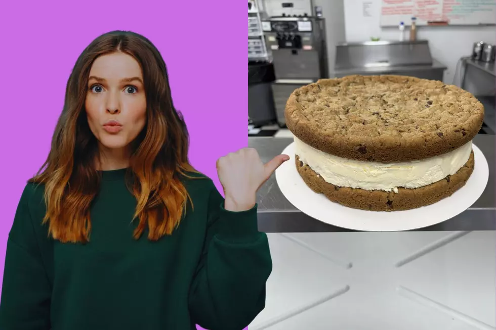 This Michigan Ice Cream Shop Is Serving a 6-Pound Sandwich